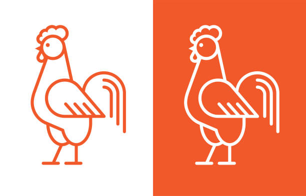 illustrazioni stock, clip art, cartoni animati e icone di tendenza di icona lineare del cazzo. - chicken silhouette animal rooster