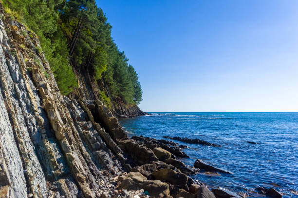 istock rocky sea shore with pebble beach, waves with foam 1131904907