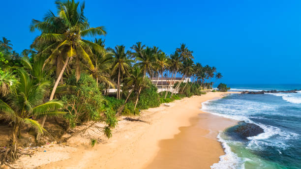 istock Aerial. Beach view in Unawatuna, Sri Lanka. 1131905850