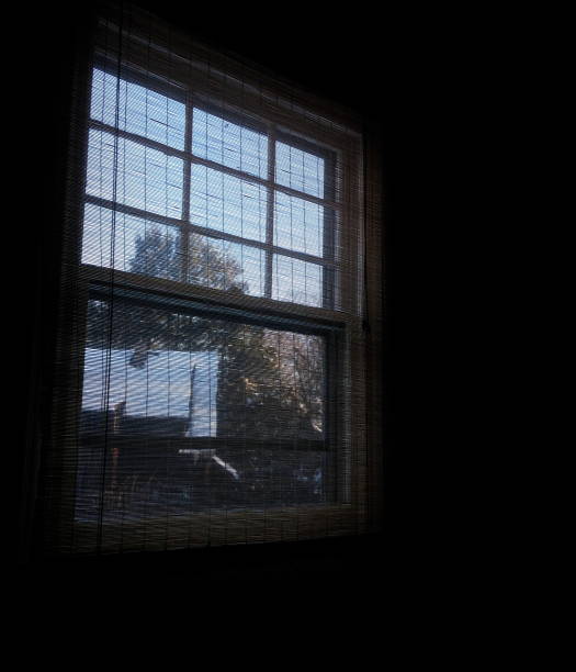 istock Winter window with snow in the morning 1131905876