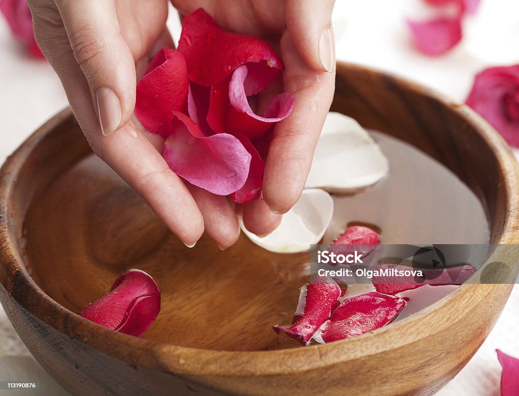 Female hands cradling flower petals over a bowl of water spa for hands Adult Stock Photo