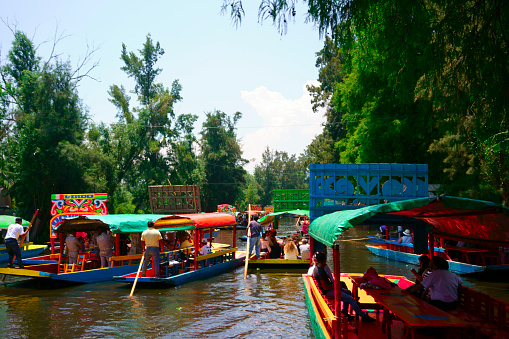 Mexico City, Mexico - May 14, 2018: Trajinera boats in the canals of Xochimilco, in a sunny afternoon of spring. Colorful trajineras or boats full of tourists take a tour on Lake Xochimilco channels. UNESCO World Heritage Site in Mexico City.