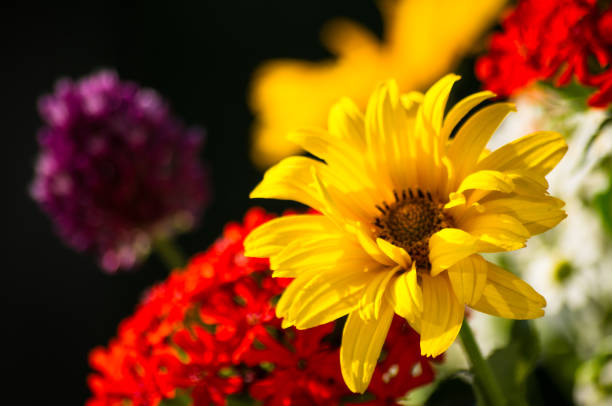 istock a bouquet of bright spring flowers of various types 1131912684
