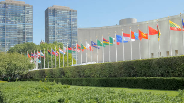 United Nations Internship Program