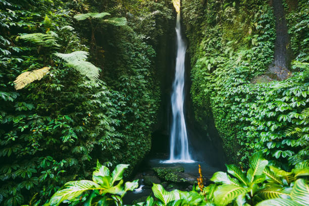 istock Waterfall with tropical plants in Bali 1131917719