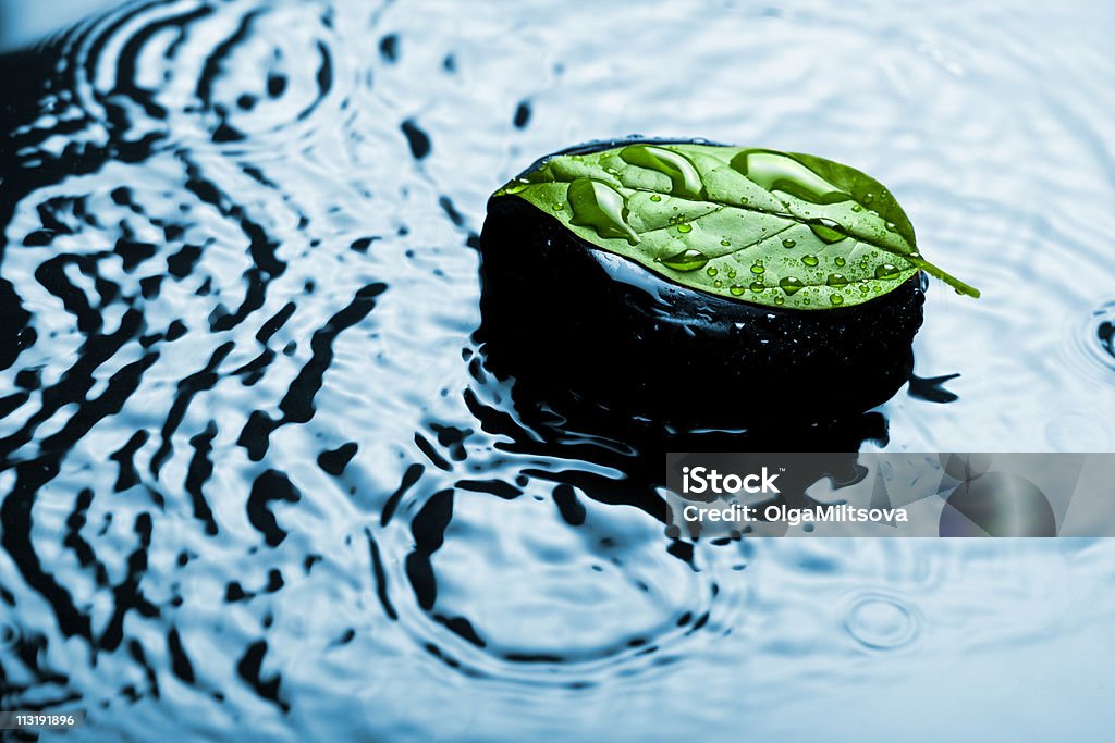 spa piedra en hoja en agua - Foto de stock de Agua libre de derechos