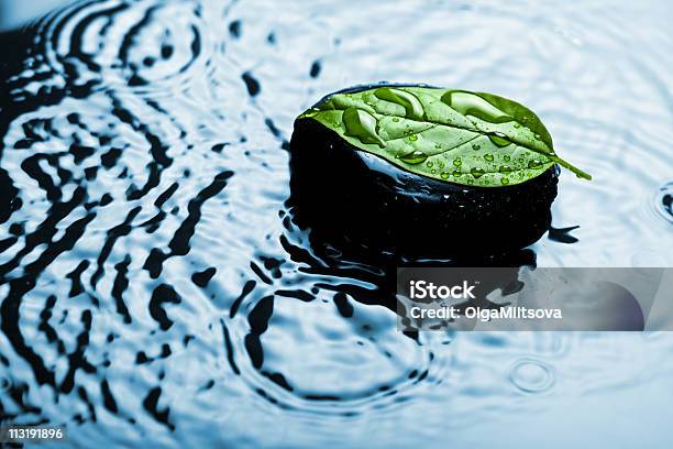 Spa Pedra Na Folha Na Água - Fotografias de stock e mais imagens de Azul - Azul, Bem-estar, Chuva