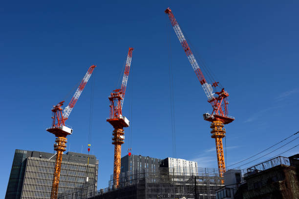 Crane works to erect the steel structure of a new building.