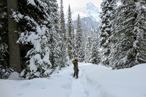 A young woman snowshoeing through forests of Island Lake in Fernie, British Columbia, Canada.  The majestic winter background is an absolutely beautiful place to go snowshoeing with fresh fallen snow.