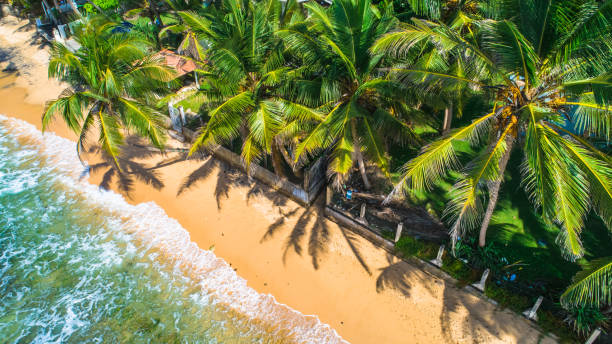 aérea. vista a la playa en unawatuna, sri lanka. - lanka fotografías e imágenes de stock