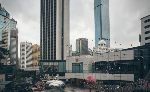 outside view around the 9 square shopping mall at longhua. at the picture, people feeding the pigeon - stock market china shenzhen asia imagens e fotografias de stock