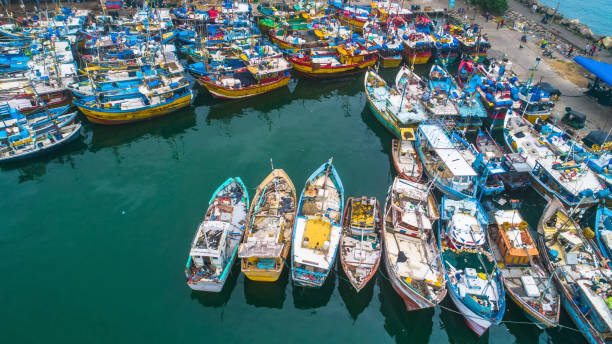 istock Aerial. Mirissa harbor. Sri Lanka. 1131931378