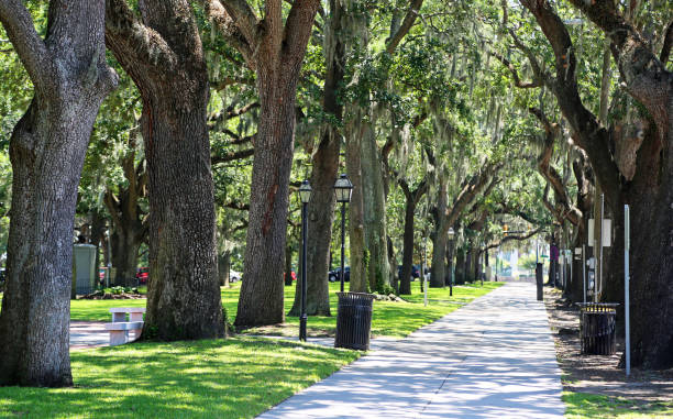 istock Alley in Emmet Park 1131931395