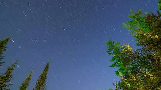 Star trails on a beautiful clear summer night with pine trees - long exposure taken off Hungry Jack Lake on the Gunflint Trail in Northern Minnesota