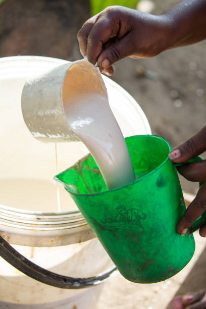 istock Ethiopia: Ari Village 1131940750