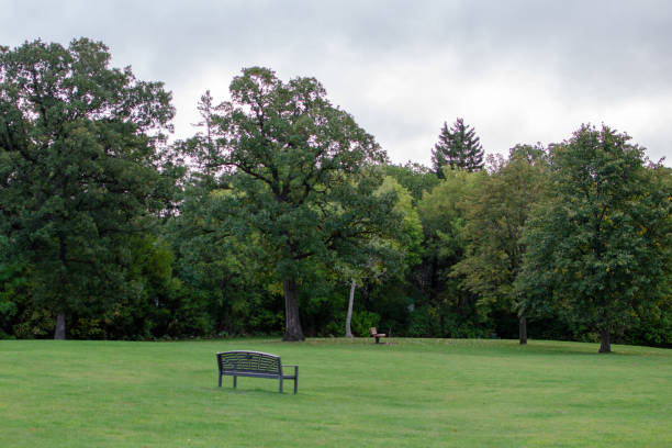 istock Park bench at Assiniboine Park 1131947162