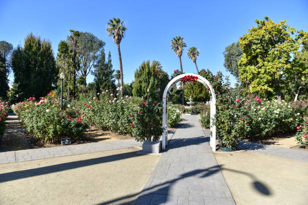 State Capitol Park World Peace Rose Garden