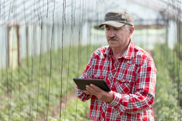 istock Mature farmer in the orchard 1131948754