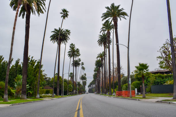 istock Streets of Beverly Hills, California 1131948847