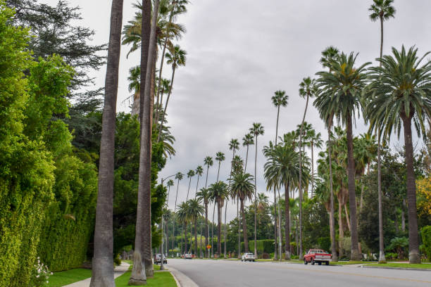 istock Streets of Beverly Hills, California 1131949284