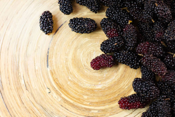 istock The mulberry fruit in white bowl on wood table. 1131949349