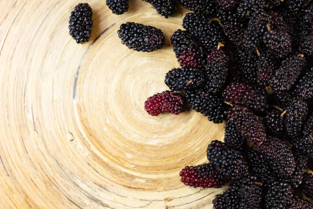 istock The mulberry fruit in white bowl on wood table. 1131949364