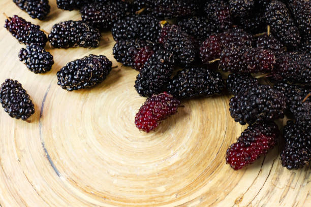 istock The mulberry fruit in white bowl on wood table. 1131949422