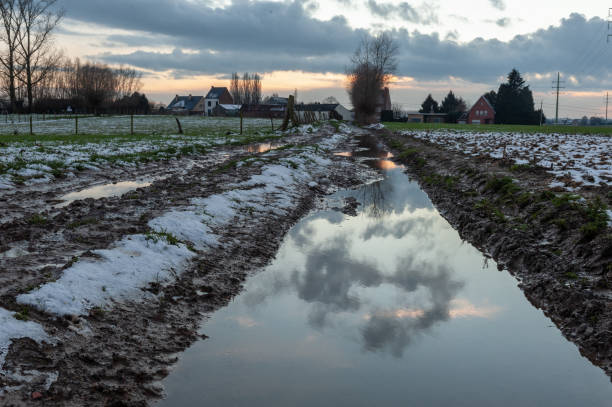 istock Winter Landscape in Belgium 1131950380