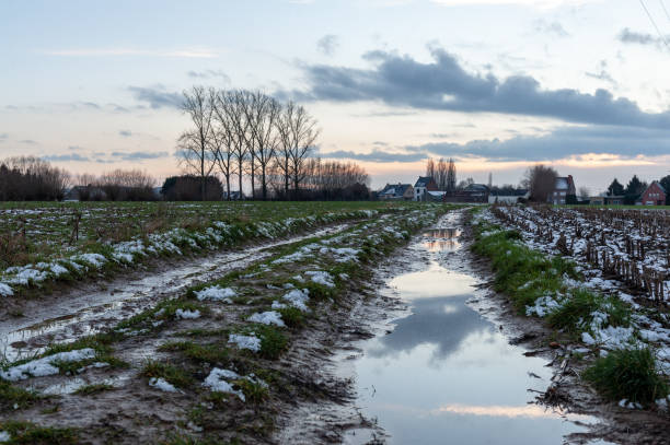 istock Winter Landscape in Belgium 1131950391