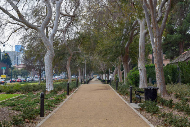 istock Streets of Beverly Hills, California 1131951455