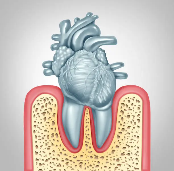 Dental care or oral health and heart disease hygiene concept caused by tooth plaque and gum infection due to mouth bacteria damaging the valves as teeth shaped as a cardiovascular organ as a 3D illustration.