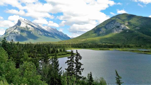 istock Stunning Sulphur Mountain in the summer 1131954412