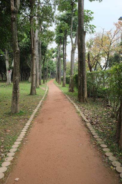 istock Trail in the park. Natural scenery in Asia. 1131955580