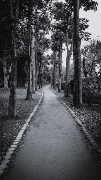 istock Trail in the park. Natural scenery in Asia. 1131955581