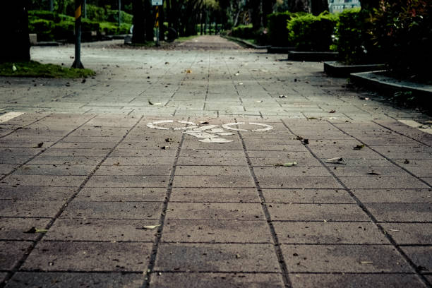 istock Trail in the park. Natural scenery in Asia. 1131955659