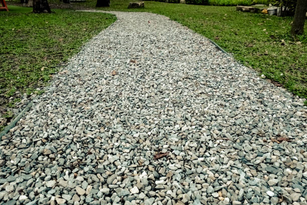 istock Trail in the park. Natural scenery in Asia. 1131955891
