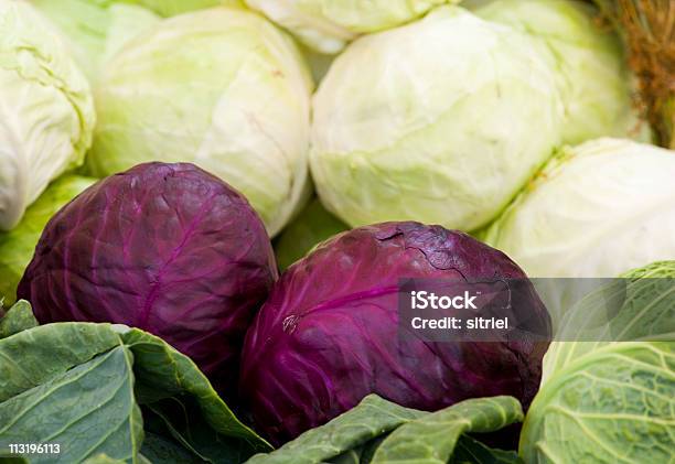 Kapusty Świeże - zdjęcia stockowe i więcej obrazów Bez ludzi - Bez ludzi, Dieta, Fotografika