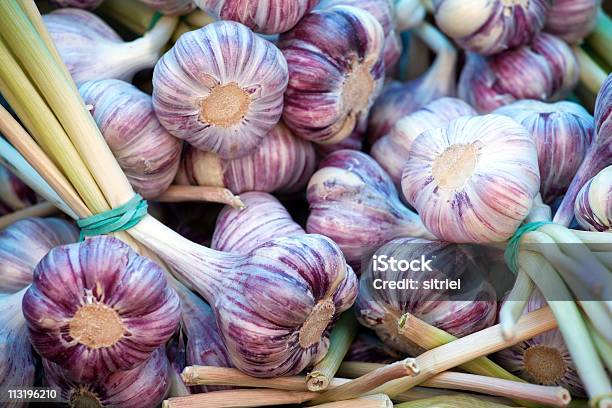 Świeże Garlics - zdjęcia stockowe i więcej obrazów Bez ludzi - Bez ludzi, Czosnek, Dieta