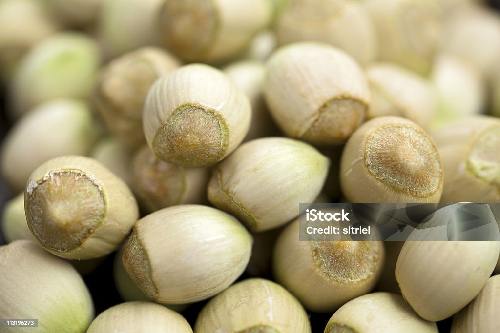 Fresh hazelnuts  Color Image Stock Photo