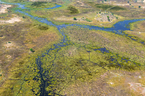 aerial view natural Okavango Delta landscape, swamps, grassland