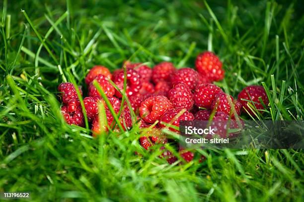 Świeże Rasberries Na Trawie - zdjęcia stockowe i więcej obrazów Fotografika - Fotografika, Grupa przedmiotów, Horyzontalny