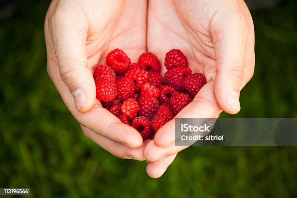 Fresh Rasberries On Hands Stock Photo - Download Image Now - Close-up, Color Image, Group Of Objects