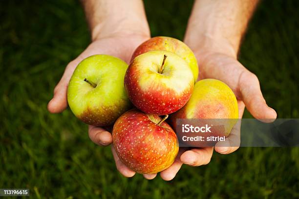 Świeże Jabłka Na Farmers Ręce - zdjęcia stockowe i więcej obrazów Dłoń - Dłoń, Fotografika, Grupa przedmiotów