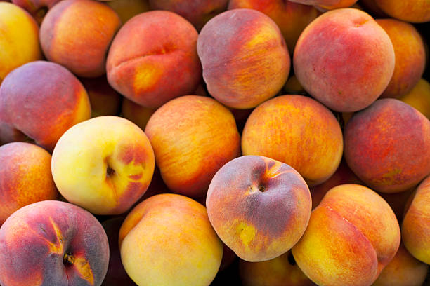 pêssegos frescos no mercado - nectarine peach red market imagens e fotografias de stock