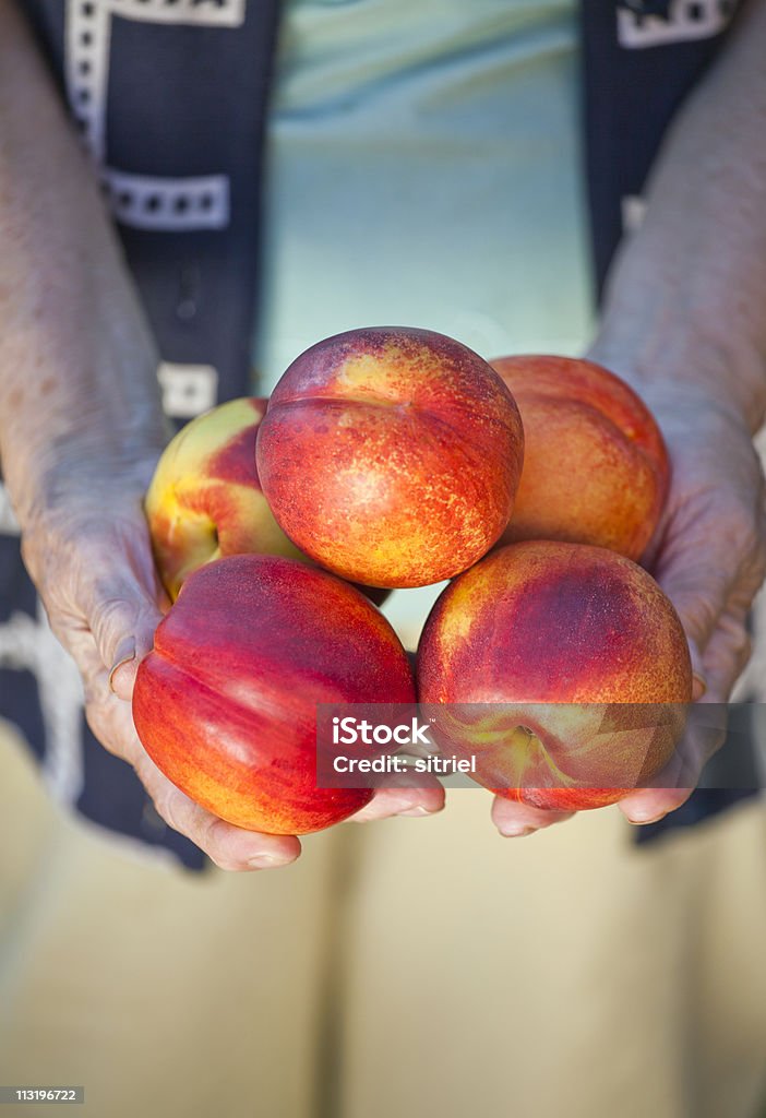 Świeże nectarine w womans ręce - Zbiór zdjęć royalty-free (Brzoskwinia - Owoc)