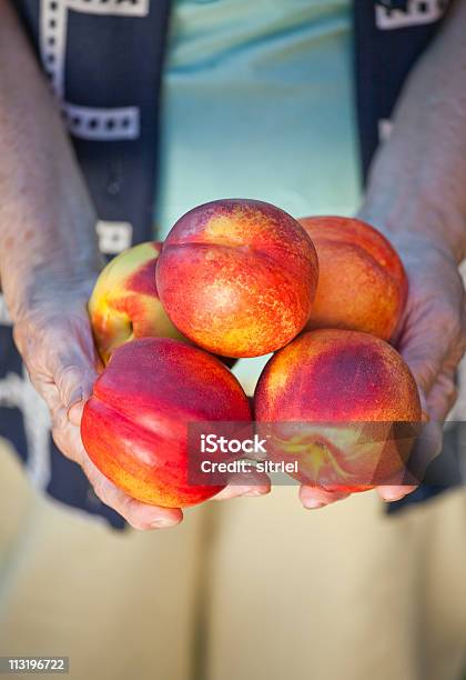 Świeże Nectarine W Womans Ręce - zdjęcia stockowe i więcej obrazów Brzoskwinia - Owoc - Brzoskwinia - Owoc, Fotografika, Grupa przedmiotów