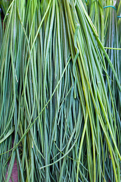 istock Fresh chives on a market 113196724
