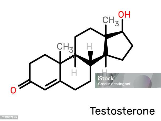 Testosterone Example Testosterone Hormone Structural Formula Vector Illustration Stock ...