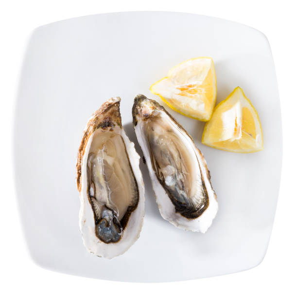 istock Top view of raw fresh oysters 1131972998