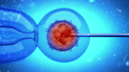 3d Animation Of A Dna Filled Liquid Being Injected Into An Egg Cell Nucleus Stock Video - Download Video Clip Now - iStock 3d Animation Of A Dna Filled Liquid Being Injected Into An Egg Cell Nucleus Stock Video - Download Video Clip Now - iStock